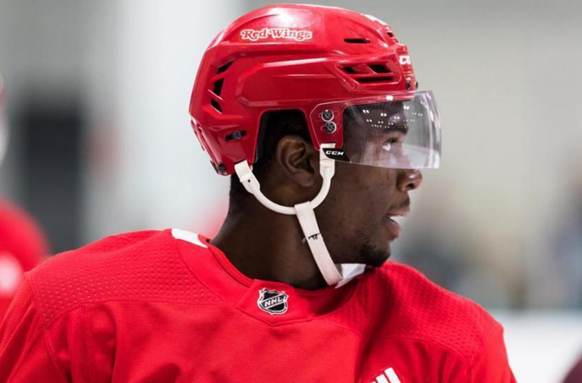 Red Wings’ Smith victim of awful racist attacks
