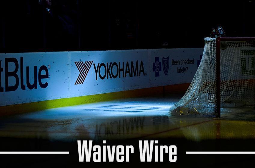 BREAKING: Young and talented goaltender hits the waiver wire!